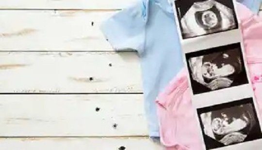 Society for Assisted Reproductive Technology